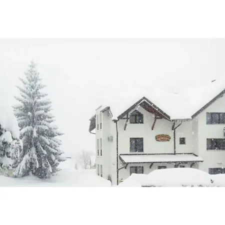 Filip-vila Zlatiborski Andjeo Apartman Zlatibor