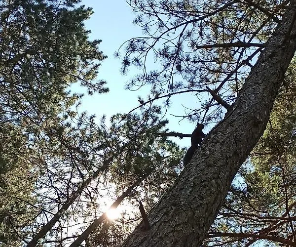 아파트 Filip-vila Zlatiborski Andjeo 즐라티보