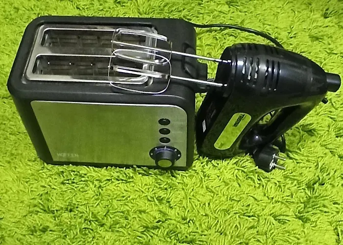 Filip-vila Zlatiborski Andjeo * 즐라티보